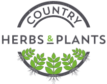 Country Herbs & Plants