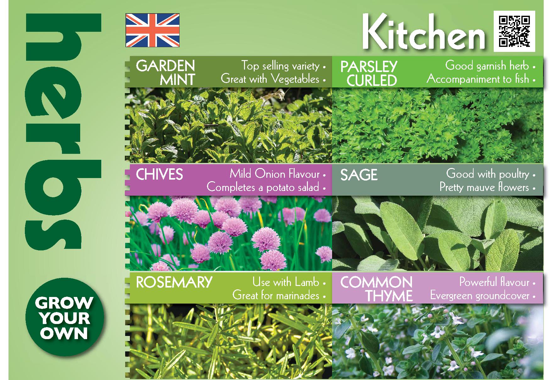 Herbs, The HTA’s Plant of the Moment for the month of May